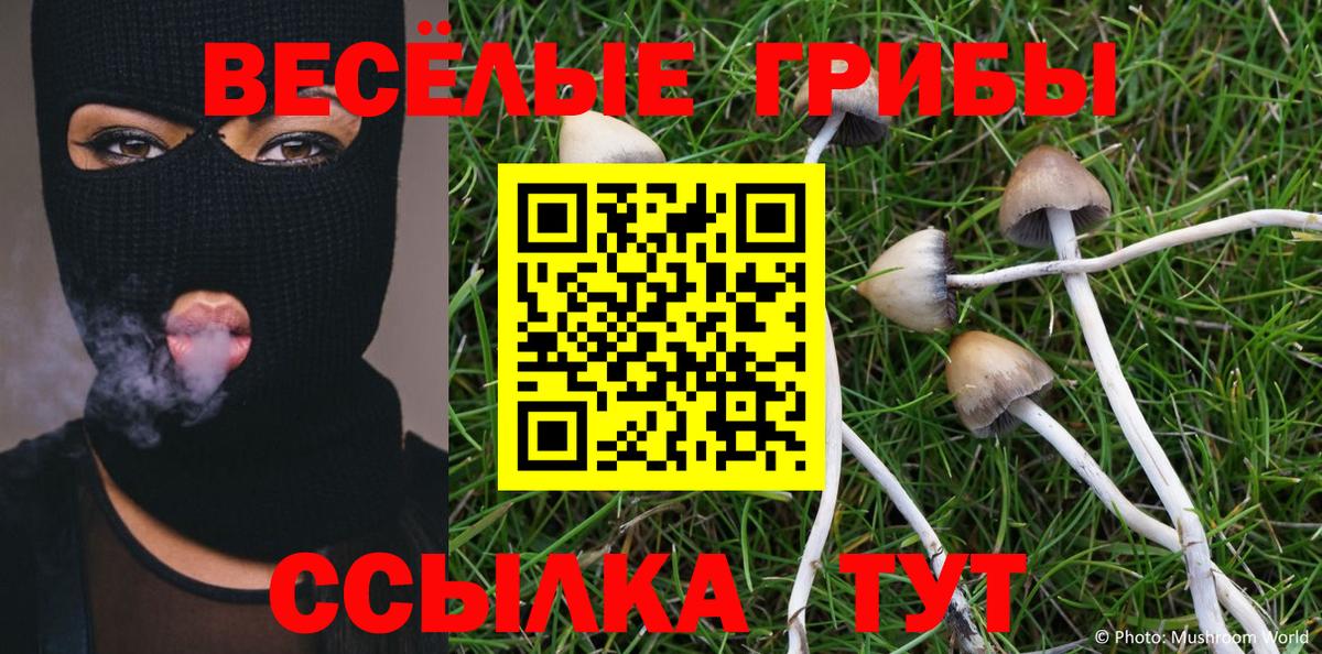 Галлюциногенные грибы мухоморы  Вход с VPN  Псилоцибиновые грибы Cubensis  Десногорск 